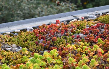 the cost of Shingay green roof installation